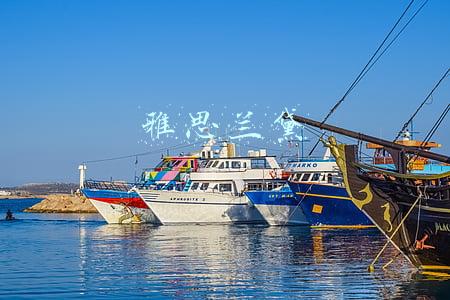雅思兰黛