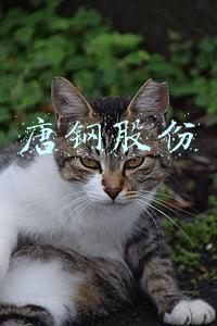 唐钢股份