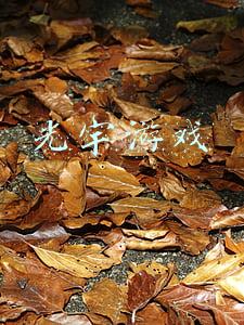 光宇游戏