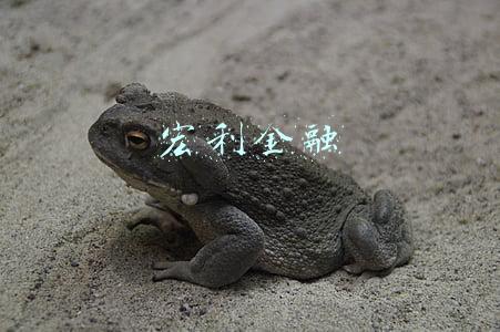 宏利金融集团(又有公募股权变动，7万亿巨头或接手)