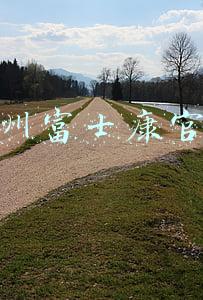 郑州富士康官网
