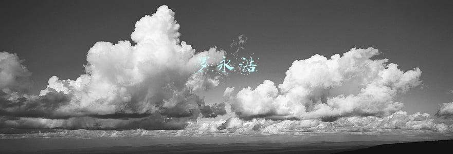 罗永浩