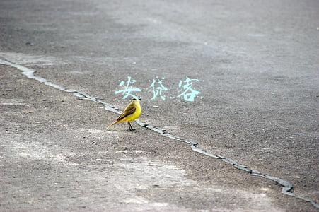 安贷客