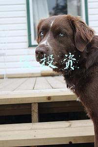 爱投资