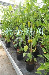 紫金新闻车祸(G355线紫金黄塘路段今日发生一宗交通事故)