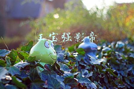 王宝强影帝