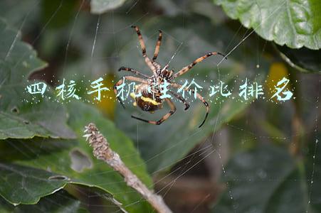 四核手机性价比排名