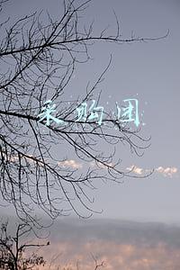 采购团