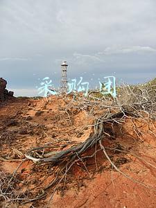 采购团