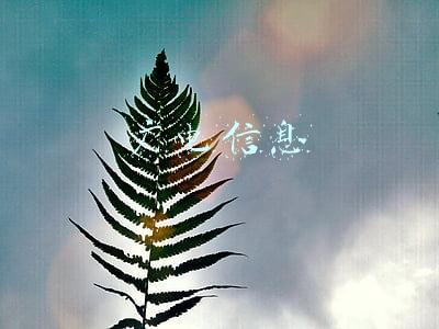 广电信息