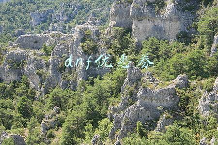 dnf优惠券