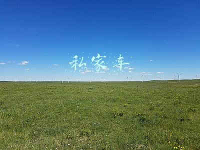 私家车