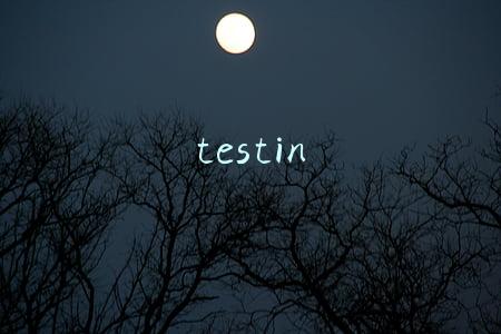 testin
