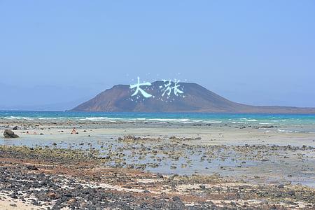 大涨