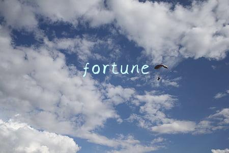 fortune
