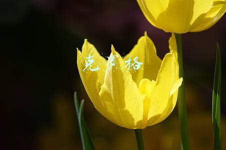 克罗格的总部在哪里(美国零售巨头克罗格联手Ocado建立首个机器人仓库)