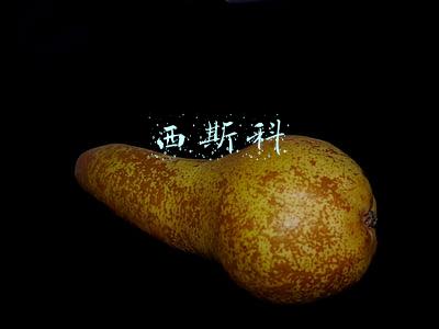 西斯科