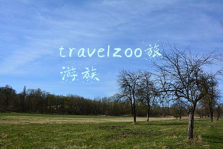 travelzoo旅游族