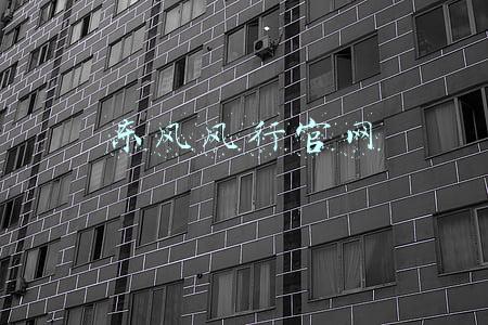 东风风行官网