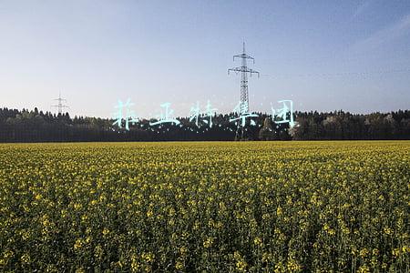 菲亚特集团