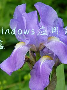 windows应用商店