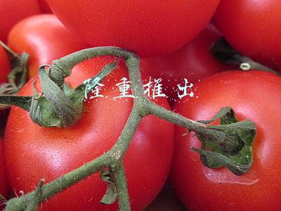 隆重推出