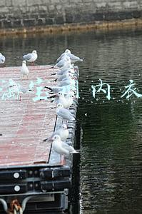 淘宝网内衣