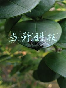 当升科技