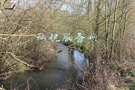 中国税务网(国家税务总局：对偷逃税今年将进一步强化典型性曝光)