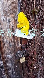 湖南快乐购官方网站