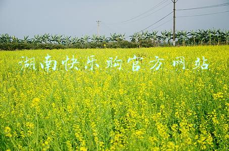 湖南快乐购官方网站