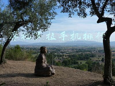 摩托罗拉手机排行