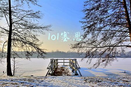 lol塞恩