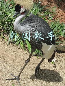 韩国歌手