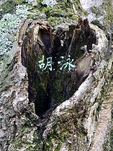 胡泳