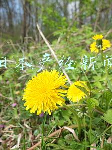 日本产经新闻