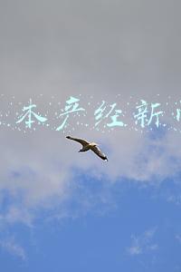 日本产经新闻