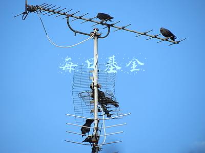 每日基金
