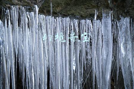 幻境寻宝