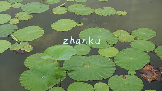 zhanku