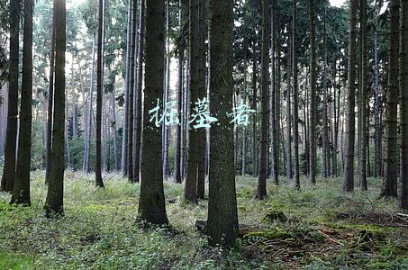 掘墓者