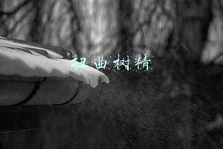 扭曲树精