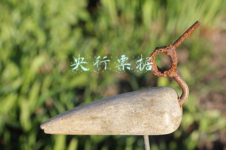 央行票据
