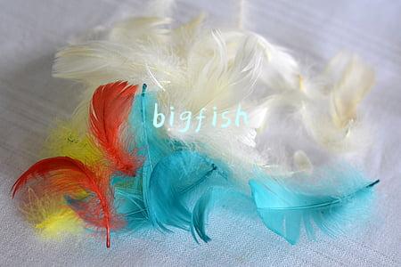 bigfish