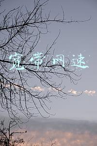 宽带网速