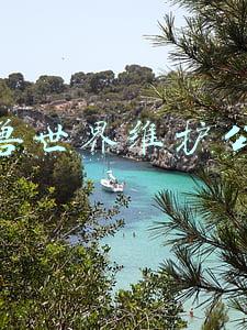 魔兽世界维护公告