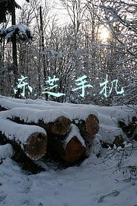 东芝手机