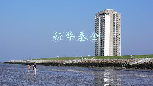 新华基金官网(新华基金管理股份有限公司 关于调整旗下部分基金在基金管理人 网上交易系统最低申购金额的公告)