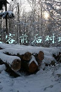 整容前后对比