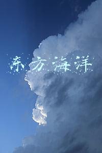 东方海洋科技有限责任公司(山东东方海洋科技股份有限公司 关于控股股东之一致行动人所持部分公司股票被司法拍卖完成过户的公告)